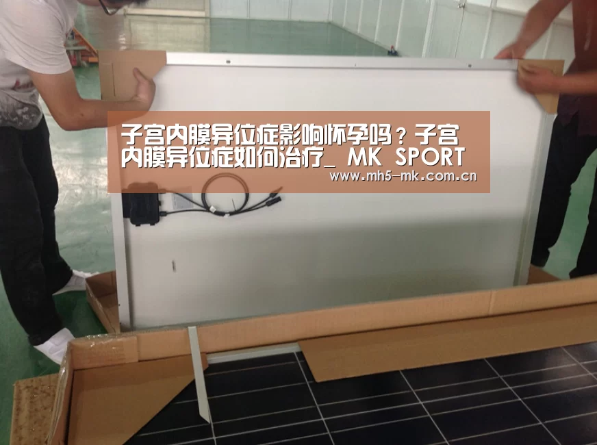 MK体育 