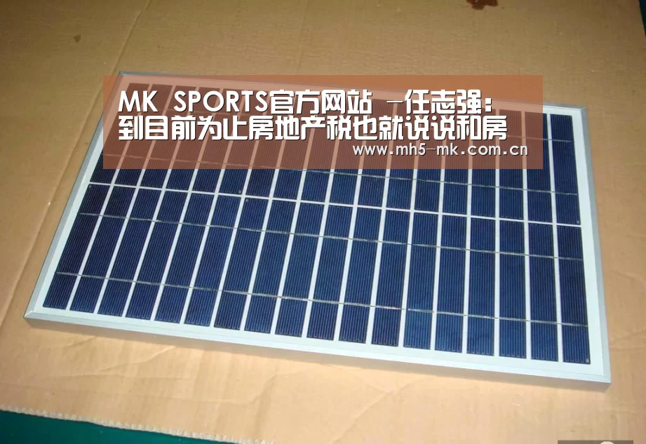 MK SPORTS官方网站 -任志强:到目前为止房地产税也就说说和房价没关系(图2) MK体育