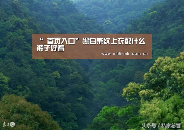 “ 首页入口”黑白条纹上衣配什么裤子好看(图2) MK体育