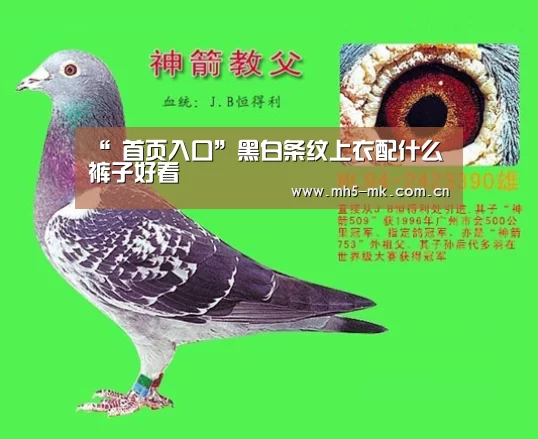 “ 首页入口”黑白条纹上衣配什么裤子好看(图3) 首页入口
