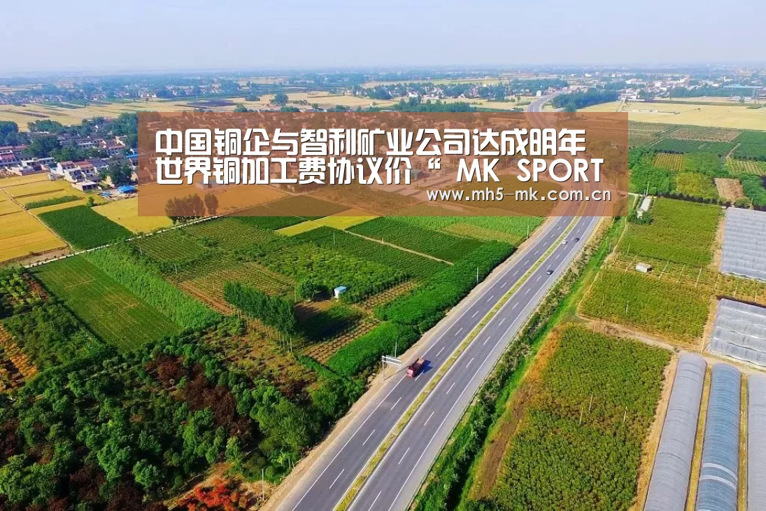 中国铜企与智利矿业公司达成明年世界铜加工费协议价“ MK SPORTS官方网站 ”(图1) MK体育